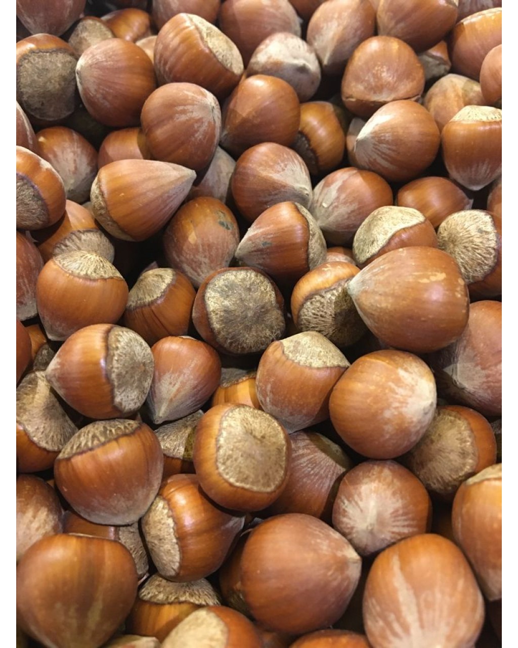 KABUKLU FINDIK (GİRESUN ) 1 KG 