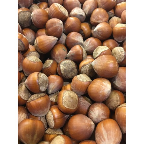 KABUKLU FINDIK (GİRESUN ) 1 KG 