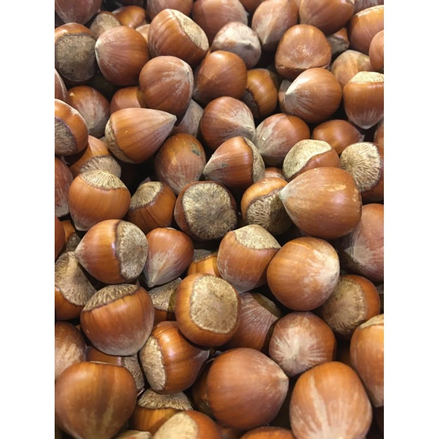 KABUKLU FINDIK (GİRESUN ) 1 KG 